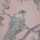 EB - Toile de Jouy Mésange Gris/Rose 50cm