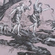 EB - Toile de Jouy Diane Rose in percale - 50 cm